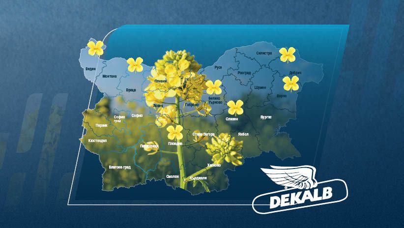 Добиви Рапица DEKALB® 2026