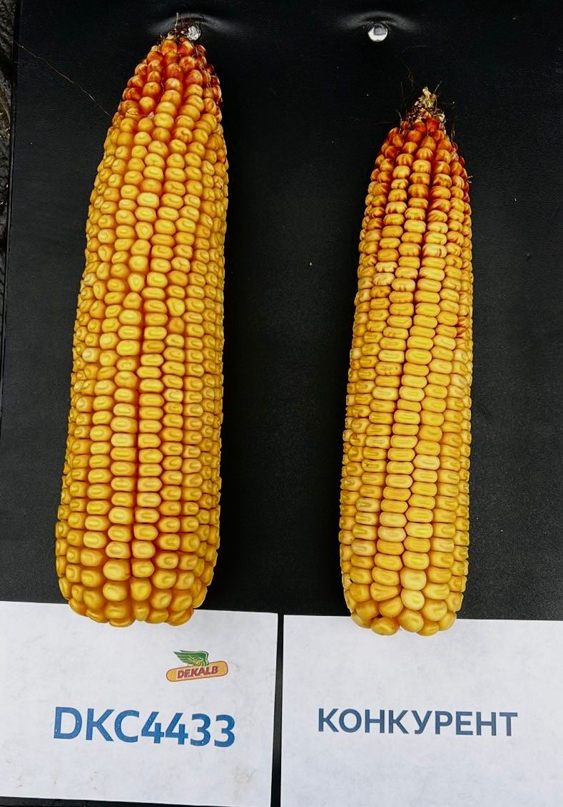 Опаковка на продукта