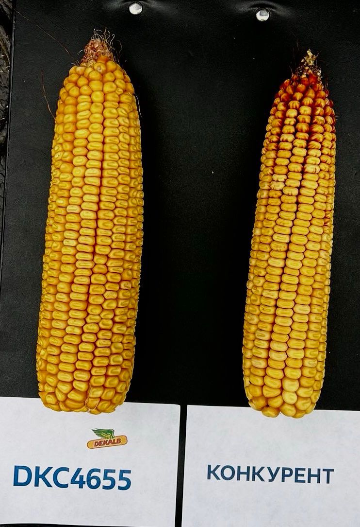 Опаковка на продукта