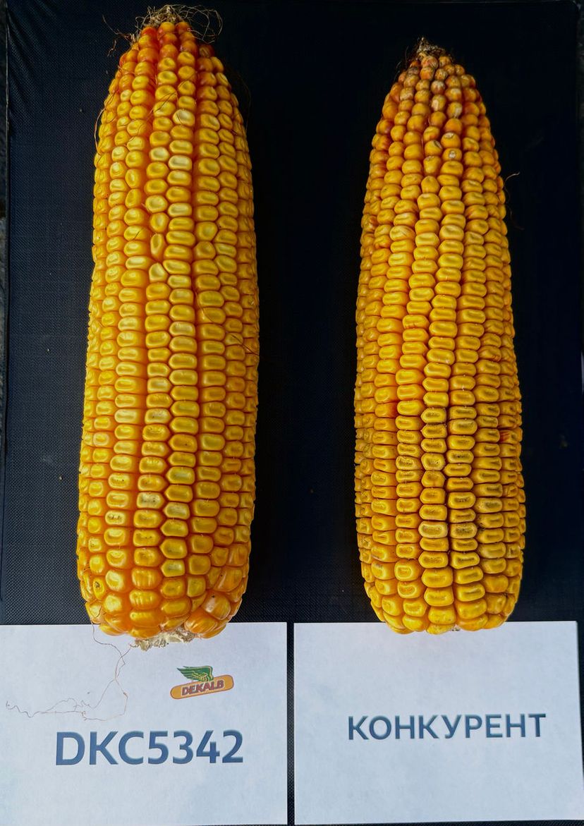 Опаковка на продукта