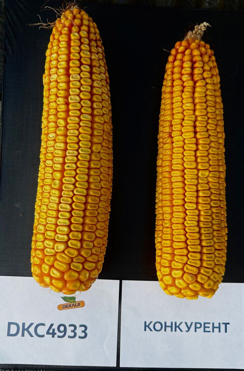 Опаковка на продукта