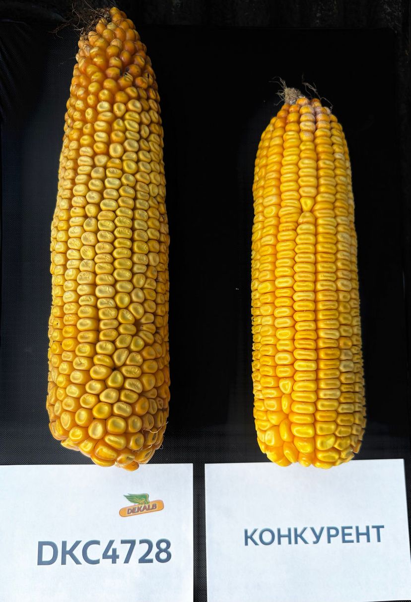 Опаковка на продукта