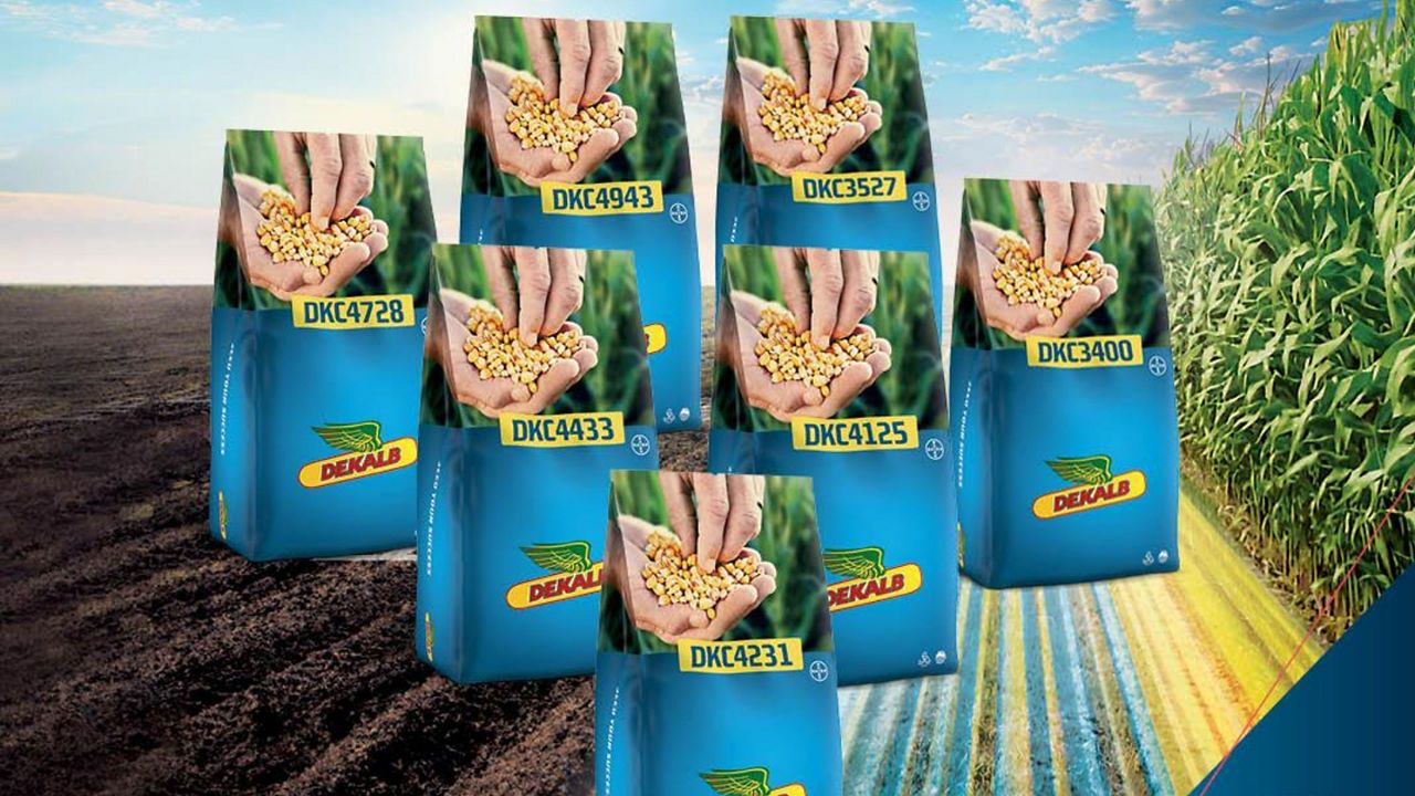 Сигурен добив и оптимални резултати с DEKALB®