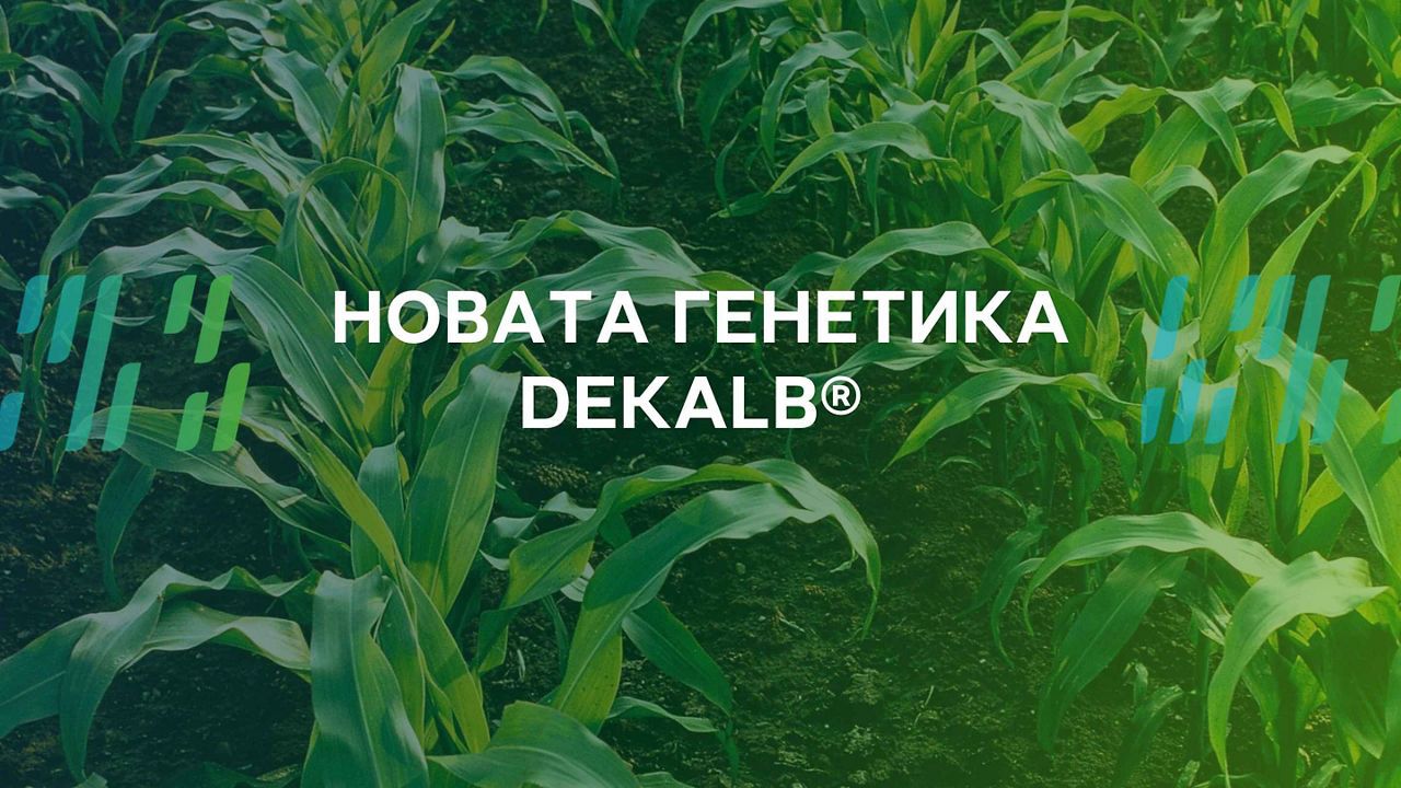 Новата генетика DEKALB®